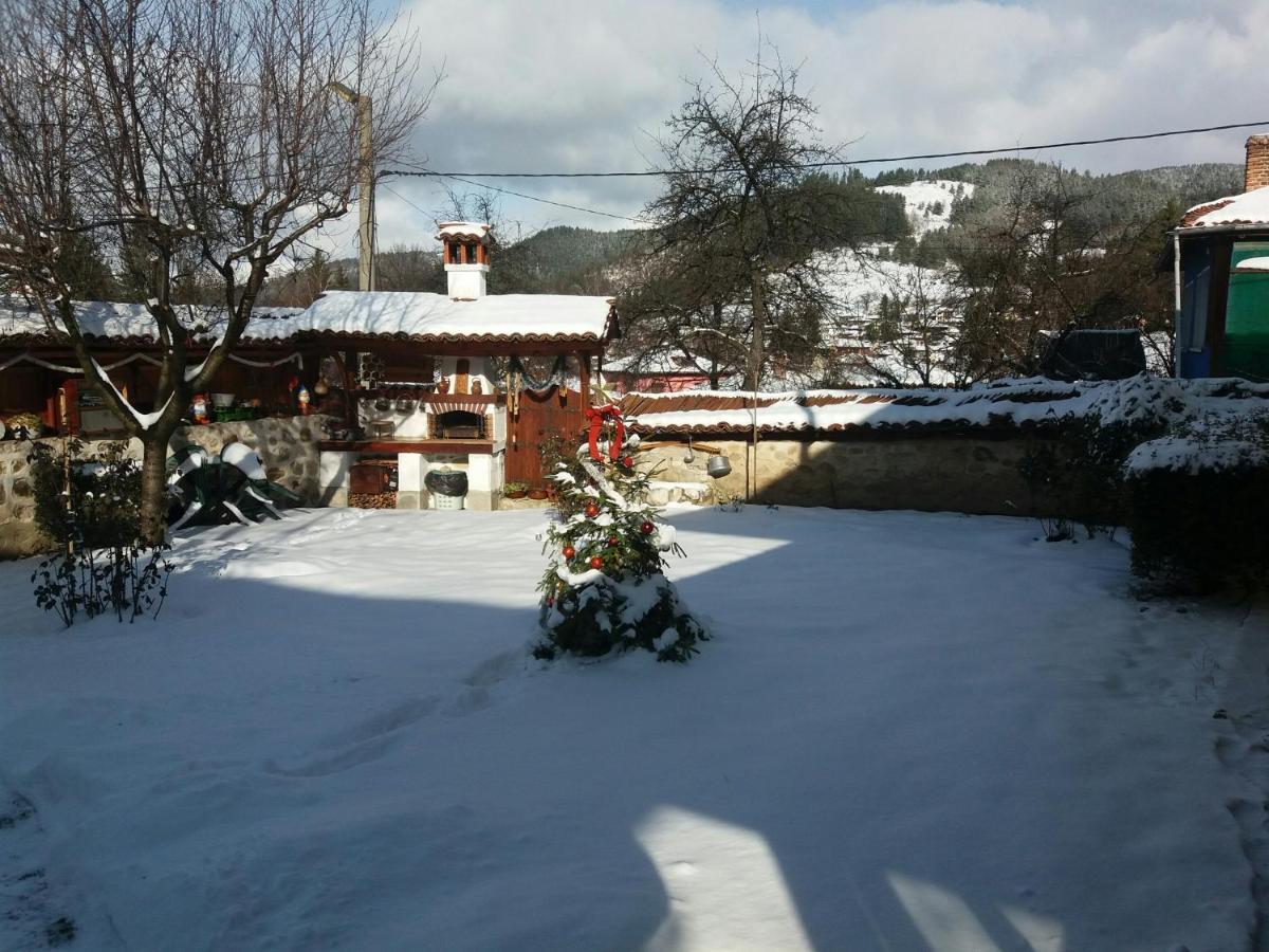Guest House Bolyarka Koprivştitsa Dış mekan fotoğraf